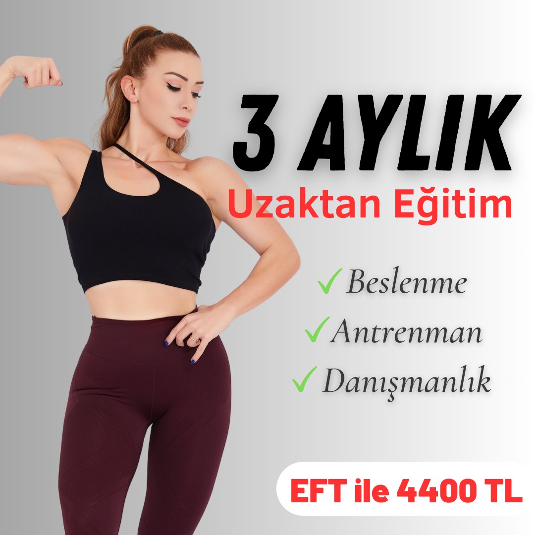 3 AYLIK UZAKTAN EĞİTİM